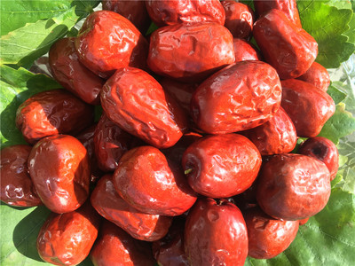 2020年银先骏枣上市了，量大从优